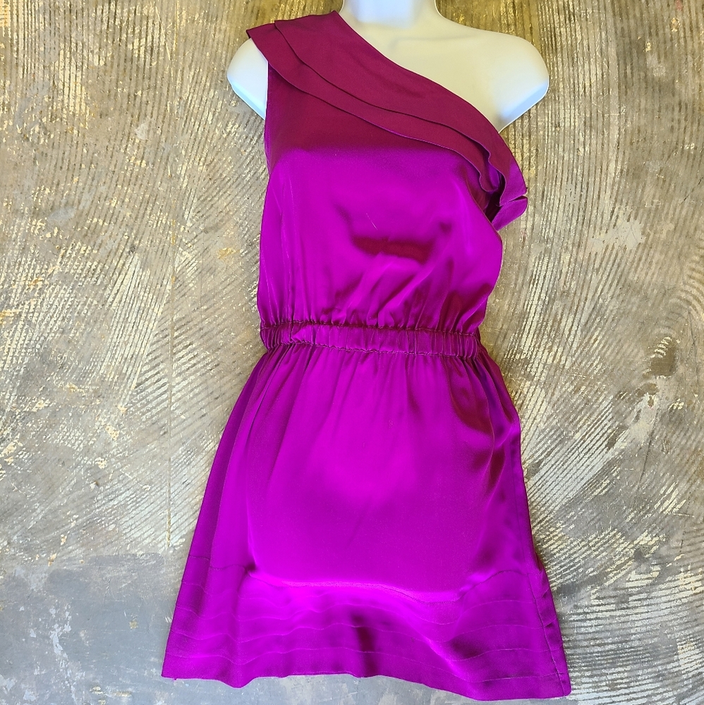 Postella Fuscia One Shoulder Silk Dress